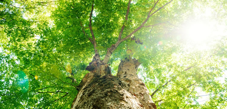 事業内容イメージ