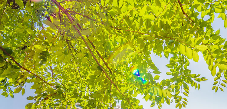 会社概要イメージ